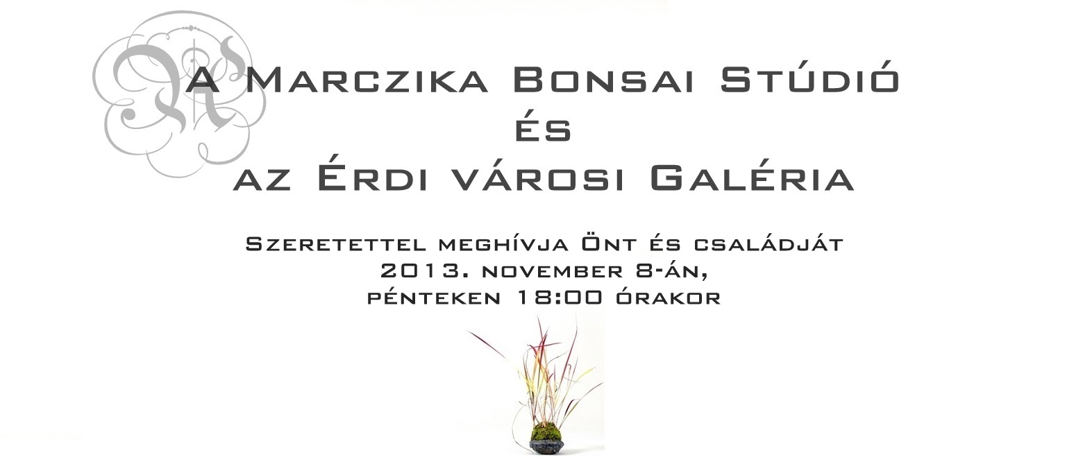bonsai, suiseki, mustra, kiallitas, program ajanlo, program, kiallitas 2 bonsai es suiseki mustra bonsaj es suiseki kiallitas meghivo